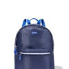 Fold-Up Backpack - Scuba Navy